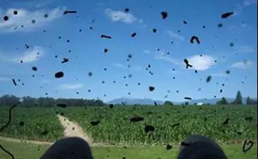 關(guān)注眼健康，了解飛蚊癥！