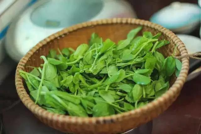 好視力科技護(hù)眼知識(shí)分享：用眼過(guò)度的人多吃這道菜