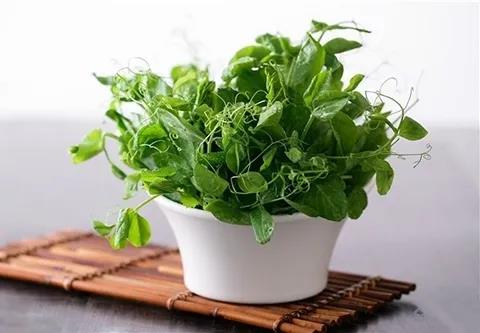 這個護眼食物，竟然還有人不知道！