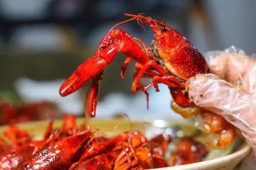 小龍蝦暢銷的季節(jié)，專家建議這個(gè)部位千萬別吃！
