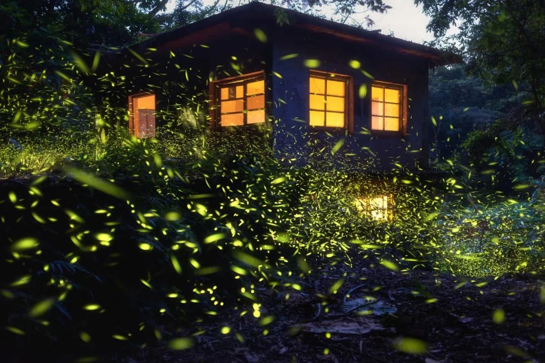 夜視力是什么？為什么有人一到晚上就看不清？