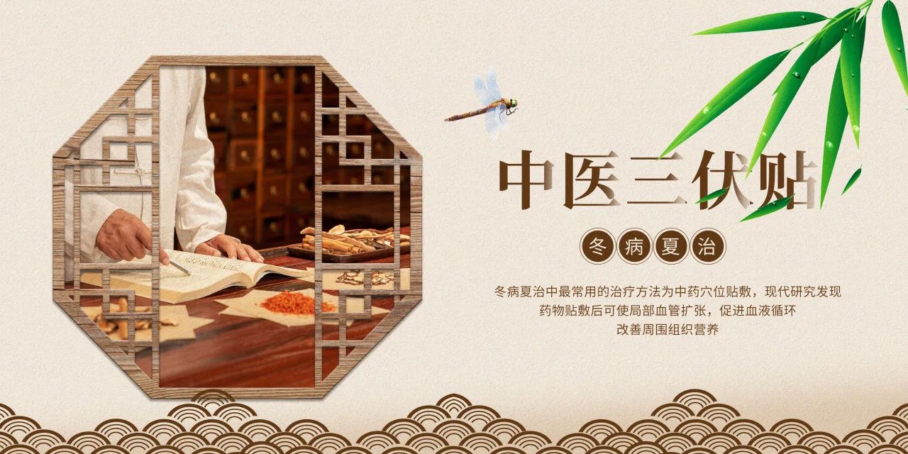 眼睛也需要“三伏貼”？